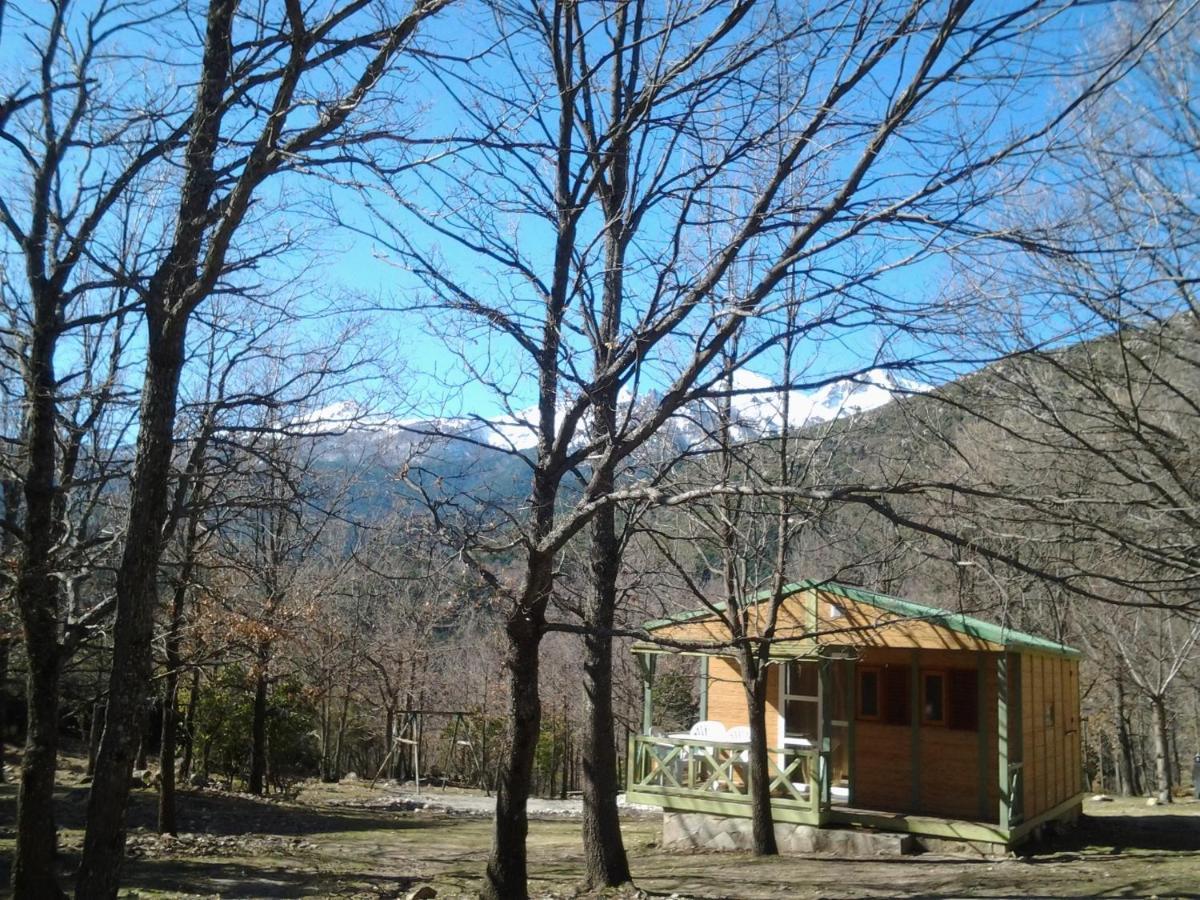 Вілла Chalet De Caralba Piscine Ghisoni Екстер'єр фото