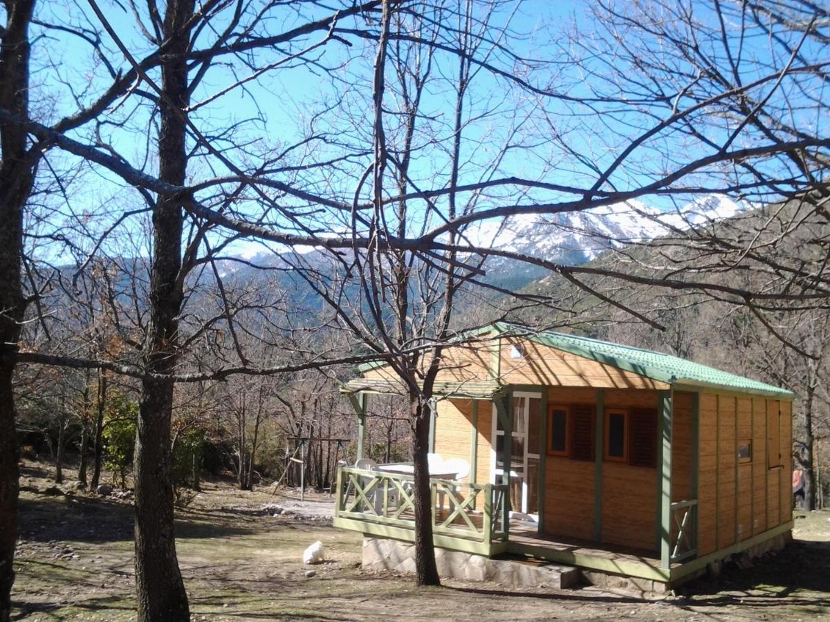 Вілла Chalet De Caralba Piscine Ghisoni Екстер'єр фото