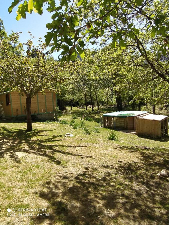 Вілла Chalet De Caralba Piscine Ghisoni Екстер'єр фото
