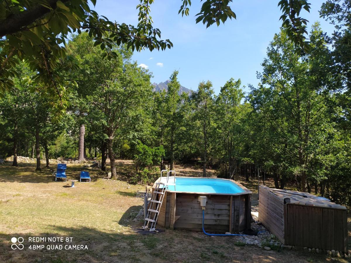 Вілла Chalet De Caralba Piscine Ghisoni Екстер'єр фото